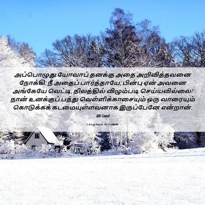 Picture 06 - 2 சாமுவேல் 18:11 TAMIRV - அப்பொழுது யோவாப் - Bible Verse Picture