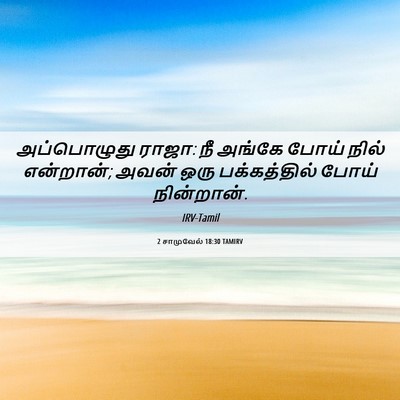 Picture 06 - 2 சாமுவேல் 18:30 TAMIRV - அப்பொழுது ராஜா: நீ - Bible Verse Picture