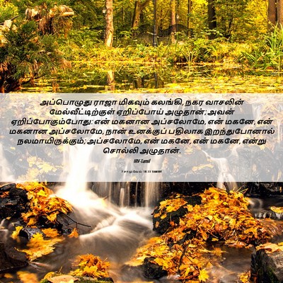 Picture 06 - 2 சாமுவேல் 18:33 TAMIRV - அப்பொழுது ராஜா - Bible Verse Picture