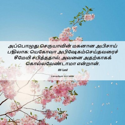 Picture 06 - 2 சாமுவேல் 19:21 TAMIRV - அப்பொழுது - Bible Verse Picture