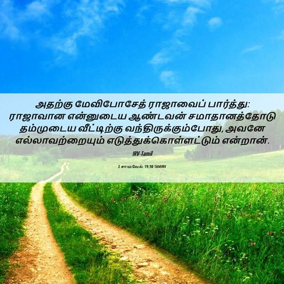 Picture 06 - 2 சாமுவேல் 19:30 TAMIRV - அதற்கு மேவிபோசேத் - Bible Verse Picture