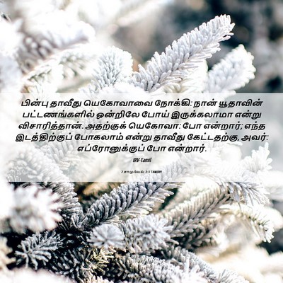 Picture 06 - 2 சாமுவேல் 2:1 TAMIRV - பின்பு தாவீது - Bible Verse Picture