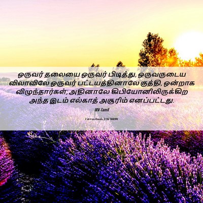 Picture 06 - 2 சாமுவேல் 2:16 TAMIRV - ஒருவர் தலையை - Bible Verse Picture
