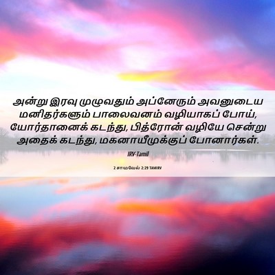 Picture 06 - 2 சாமுவேல் 2:29 TAMIRV - அன்று இரவு - Bible Verse Picture
