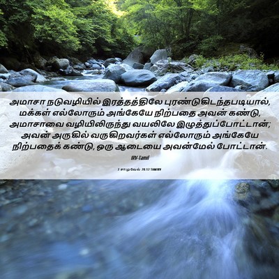 Picture 06 - 2 சாமுவேல் 20:12 TAMIRV - அமாசா நடுவழியில் - Bible Verse Picture