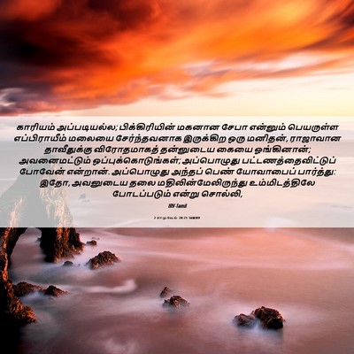 Picture 06 - 2 சாமுவேல் 20:21 TAMIRV - காரியம் - Bible Verse Picture