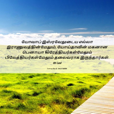 Picture 06 - 2 சாமுவேல் 20:23 TAMIRV - யோவாப் - Bible Verse Picture