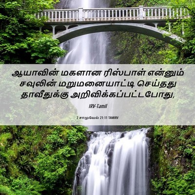 Picture 06 - 2 சாமுவேல் 21:11 TAMIRV - ஆயாவின் மகளான - Bible Verse Picture