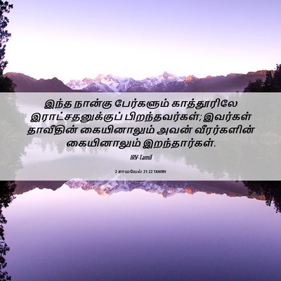 Picture 06 - 2 சாமுவேல் 21:22 TAMIRV - இந்த நான்கு - Bible Verse Picture