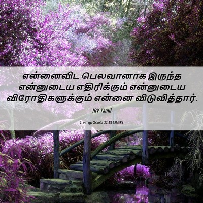 Picture 06 - 2 சாமுவேல் 22:18 TAMIRV - என்னைவிட பெலவானாக - Bible Verse Picture