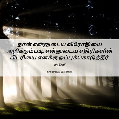 Picture 06 - 2 சாமுவேல் 22:41 TAMIRV - நான் என்னுடைய - Bible Verse Picture
