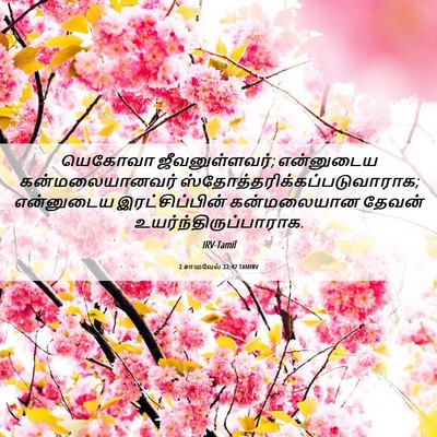 Picture 06 - 2 சாமுவேல் 22:47 TAMIRV - யெகோவா - Bible Verse Picture