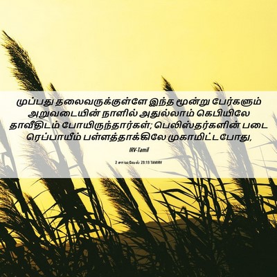 Picture 06 - 2 சாமுவேல் 23:13 TAMIRV - முப்பது - Bible Verse Picture