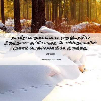 Picture 06 - 2 சாமுவேல் 23:14 TAMIRV - தாவீது - Bible Verse Picture