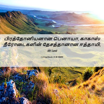 Picture 06 - 2 சாமுவேல் 23:30 TAMIRV - பிரத்தோனியனான - Bible Verse Picture