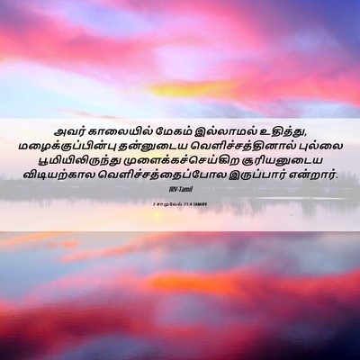 Picture 06 - 2 சாமுவேல் 23:4 TAMIRV - அவர் காலையில் - Bible Verse Picture
