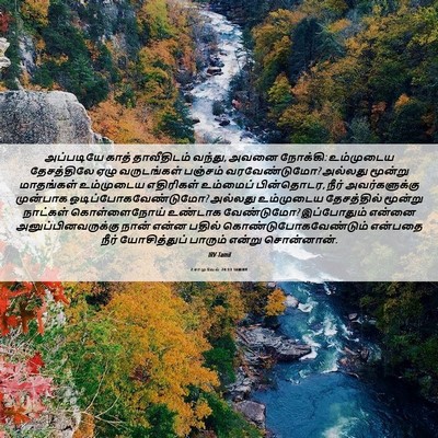 Picture 06 - 2 சாமுவேல் 24:13 TAMIRV - அப்படியே காத் - Bible Verse Picture
