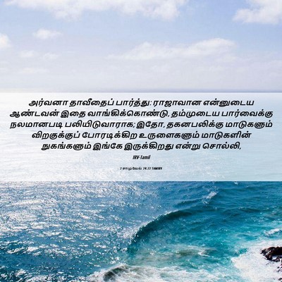 Picture 06 - 2 சாமுவேல் 24:22 TAMIRV - அர்வனா தாவீதைப் - Bible Verse Picture