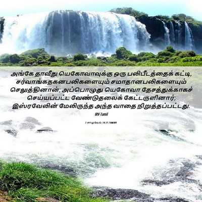 Picture 06 - 2 சாமுவேல் 24:25 TAMIRV - அங்கே தாவீது - Bible Verse Picture