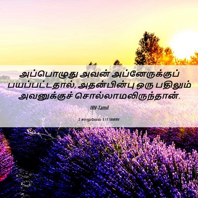 Picture 06 - 2 சாமுவேல் 3:11 TAMIRV - அப்பொழுது அவன் - Bible Verse Picture
