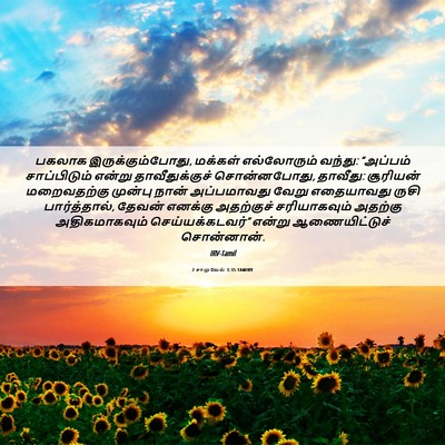 Picture 06 - 2 சாமுவேல் 3:35 TAMIRV - பகலாக - Bible Verse Picture