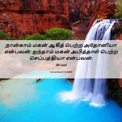 Picture 06 - 2 சாமுவேல் 3:4 TAMIRV - நான்காம் மகன் - Bible Verse Picture