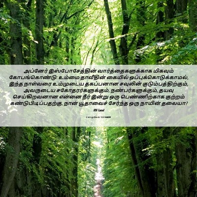 Picture 06 - 2 சாமுவேல் 3:8 TAMIRV - அப்னேர் - Bible Verse Picture
