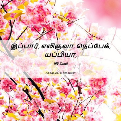 Picture 06 - 2 சாமுவேல் 5:15 TAMIRV - இப்பார், எலிசூவா, - Bible Verse Picture
