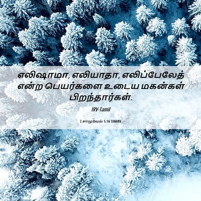 Picture 06 - 2 சாமுவேல் 5:16 TAMIRV - எலிஷாமா, எலியாதா, - Bible Verse Picture