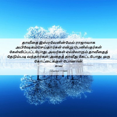 Picture 06 - 2 சாமுவேல் 5:17 TAMIRV - தாவீதை - Bible Verse Picture