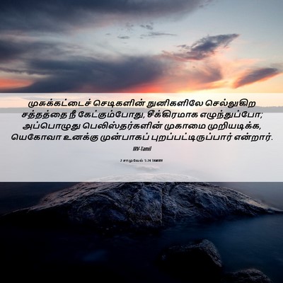Picture 06 - 2 சாமுவேல் 5:24 TAMIRV - முசுக்கட்டைச் - Bible Verse Picture