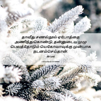 Picture 06 - 2 சாமுவேல் 6:14 TAMIRV - தாவீது சணல்நூல் - Bible Verse Picture
