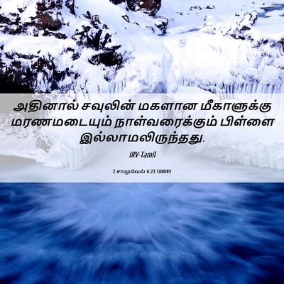 Picture 06 - 2 சாமுவேல் 6:23 TAMIRV - அதினால் சவுலின் - Bible Verse Picture