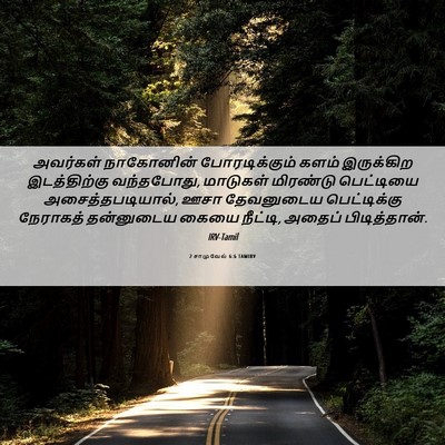 Picture 06 - 2 சாமுவேல் 6:6 TAMIRV - அவர்கள் நாகோனின் - Bible Verse Picture