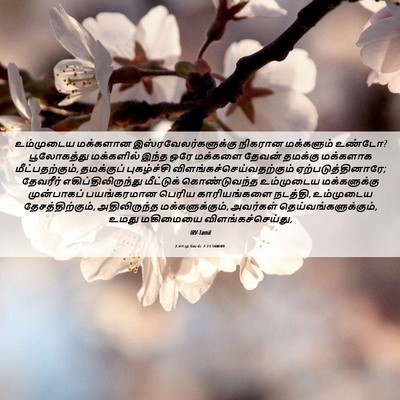 Picture 06 - 2 சாமுவேல் 7:23 TAMIRV - உம்முடைய மக்களான - Bible Verse Picture