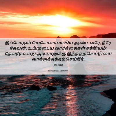 Picture 06 - 2 சாமுவேல் 7:28 TAMIRV - இப்போதும் - Bible Verse Picture