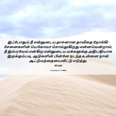Picture 06 - 2 சாமுவேல் 7:8 TAMIRV - இப்போதும் நீ - Bible Verse Picture