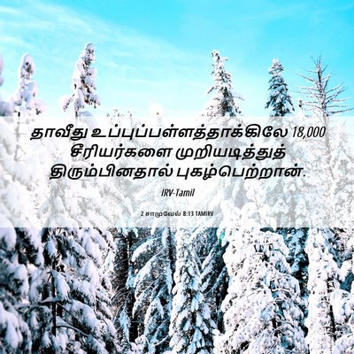 Picture 06 - 2 சாமுவேல் 8:13 TAMIRV - தாவீது - Bible Verse Picture