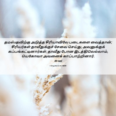 Picture 06 - 2 சாமுவேல் 8:6 TAMIRV - தமஸ்குவிற்கு - Bible Verse Picture