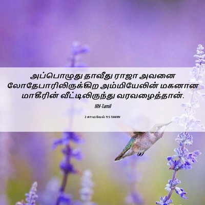 Picture 06 - 2 சாமுவேல் 9:5 TAMIRV - அப்பொழுது தாவீது - Bible Verse Picture
