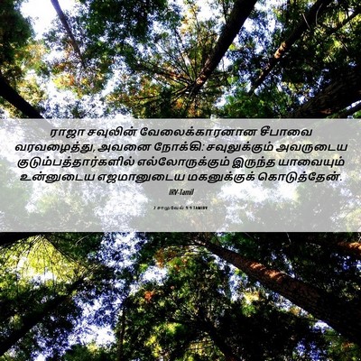 Picture 06 - 2 சாமுவேல் 9:9 TAMIRV - ராஜா சவுலின் - Bible Verse Picture