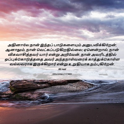 Picture 06 - 2 தீமோத்தேயு 1:12 TAMIRV - அதினாலே நான் - Bible Verse Picture