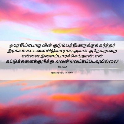 Picture 06 - 2 தீமோத்தேயு 1:16 TAMIRV - ஒநேசிப்போருவின் - Bible Verse Picture