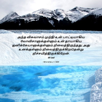 Picture 06 - 2 தீமோத்தேயு 1:5 TAMIRV - அந்த விசுவாசம் - Bible Verse Picture