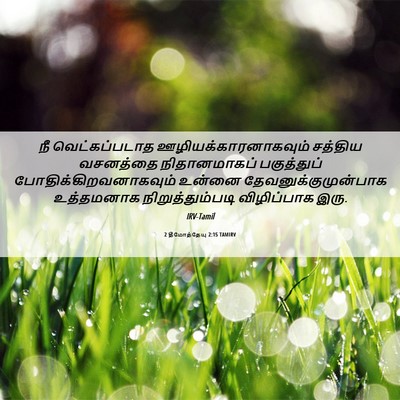 Picture 06 - 2 தீமோத்தேயு 2:15 TAMIRV - நீ வெட்கப்படாத - Bible Verse Picture