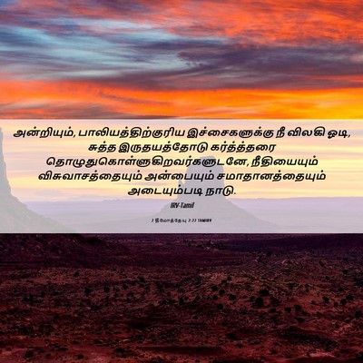 Picture 06 - 2 தீமோத்தேயு 2:22 TAMIRV - அன்றியும், - Bible Verse Picture
