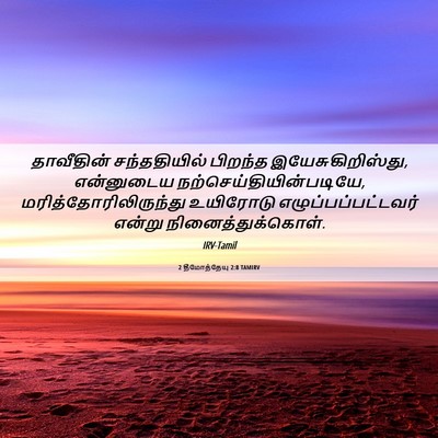 Picture 06 - 2 தீமோத்தேயு 2:8 TAMIRV - தாவீதின் - Bible Verse Picture