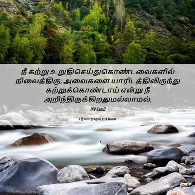 Picture 06 - 2 தீமோத்தேயு 3:14 TAMIRV - நீ கற்று - Bible Verse Picture