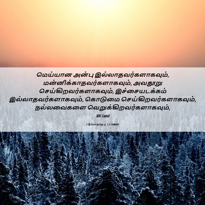 Picture 06 - 2 தீமோத்தேயு 3:3 TAMIRV - மெய்யான அன்பு - Bible Verse Picture