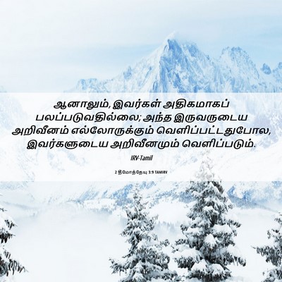 Picture 06 - 2 தீமோத்தேயு 3:9 TAMIRV - ஆனாலும், இவர்கள் - Bible Verse Picture